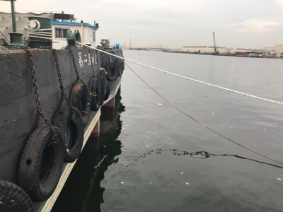 久しぶりの砂揚げ場