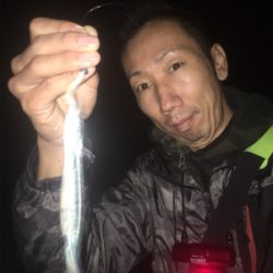 ナイトアジング/高砂エリア