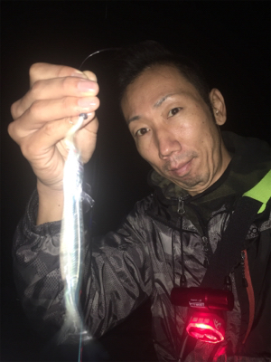 ナイトアジング/高砂エリア