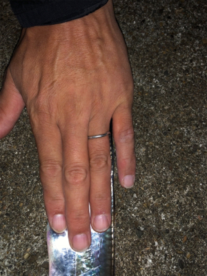 台風後タチウオ調査