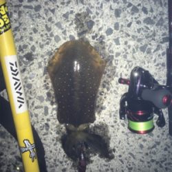 結構な濁りでした