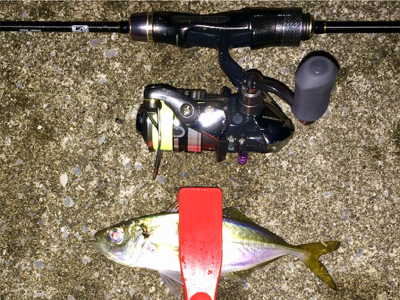 アジンガー1838〜2015