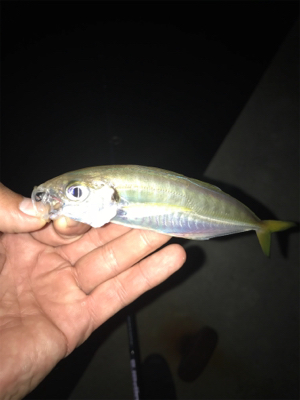 釣友会メンバーと