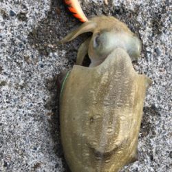 息子さんとたーのしー(●￣ω￣●)ﾉ