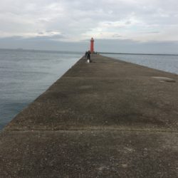 メジロでいーですか？