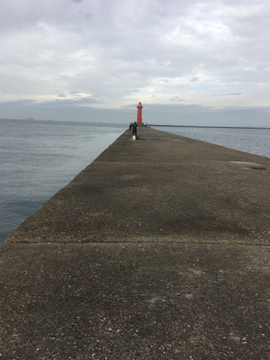 メジロでいーですか？