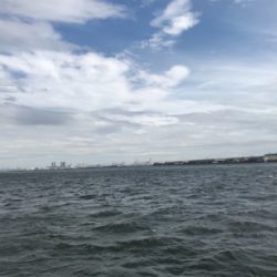 サバサバサバサバサバサバ…