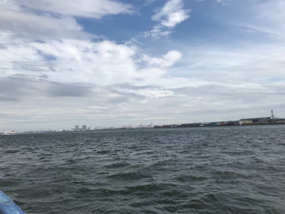 サバサバサバサバサバサバ…