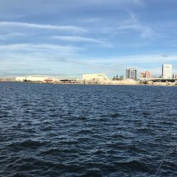 今日も砂揚げ場