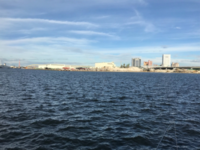 今日も砂揚げ場