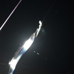 ドジョウテンヤタチウオ