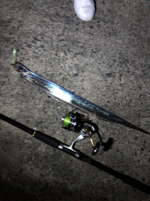 台風前の神戸遠征