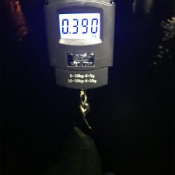 加太〜岬ランガン