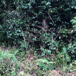 やってもたΣ（ﾟдﾟlll）