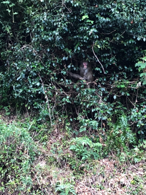 やってもたΣ（ﾟдﾟlll）