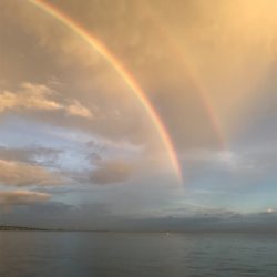 まだまだ、小さい！