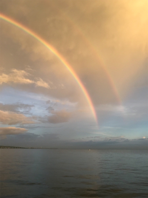 まだまだ、小さい！