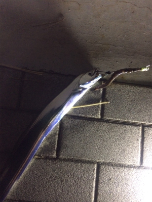 数釣りには最適