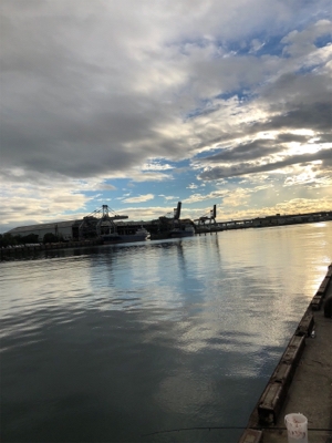 ショアジギング