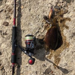 日本海爆風デイエギング