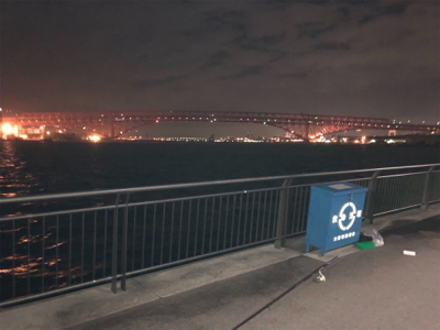 鶴浜緑地運動場