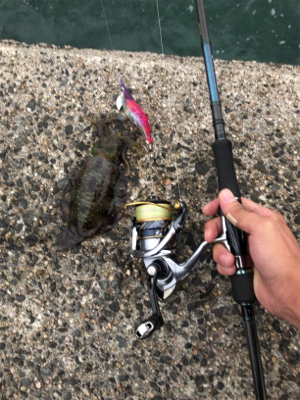 秋イカエギング