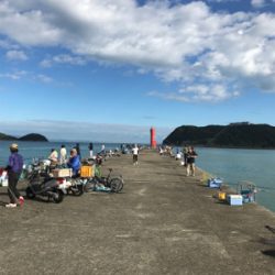 サゴシorサワラ？