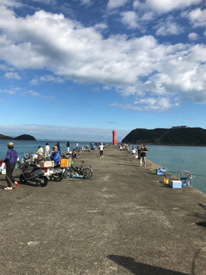 サゴシorサワラ？