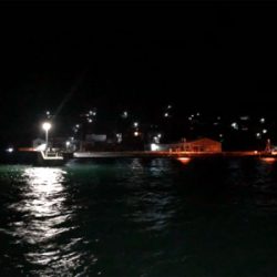 豊島アジング撃沈