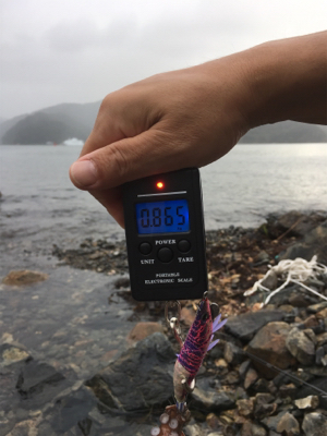 親父たちの釣行 第12弾