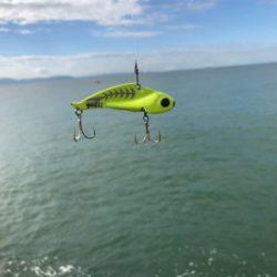 早朝ショアジギング