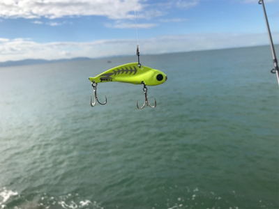 早朝ショアジギング