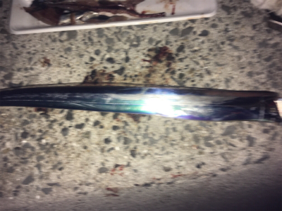 やっぱり餌が釣れる!