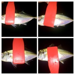 アジンガー1808〜2028