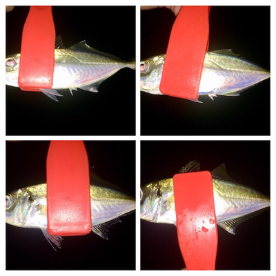 アジンガー1808〜2028