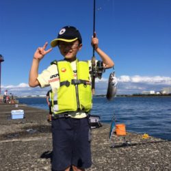 ベストシーズン