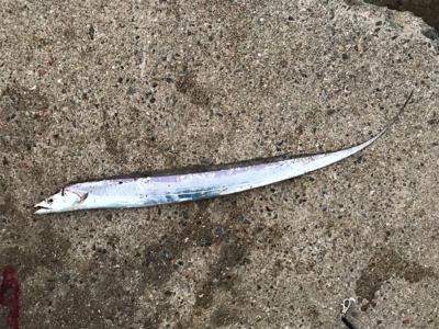 今日も行っちゃいました！