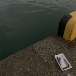 タチウオ釣り