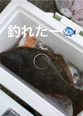 サビキ