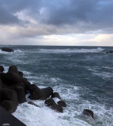台風一過を期待して