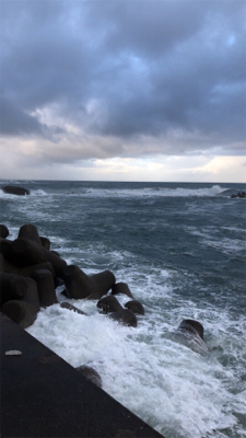 台風一過を期待して