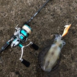 台風一過の連休最終日