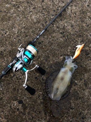 台風一過の連休最終日