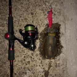 久しぶりの和歌山遠征