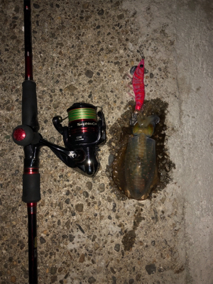 久しぶりの和歌山遠征