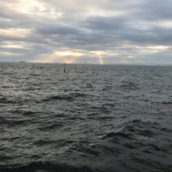 ショアジギング