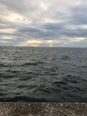 ショアジギング