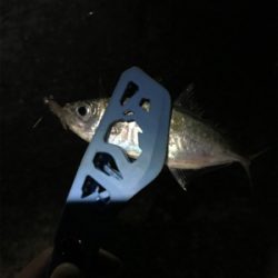 台風直後の樋島釣行