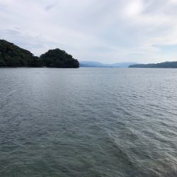 手こぎボートで！