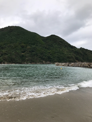 萩市周辺 アオリイカ釣果